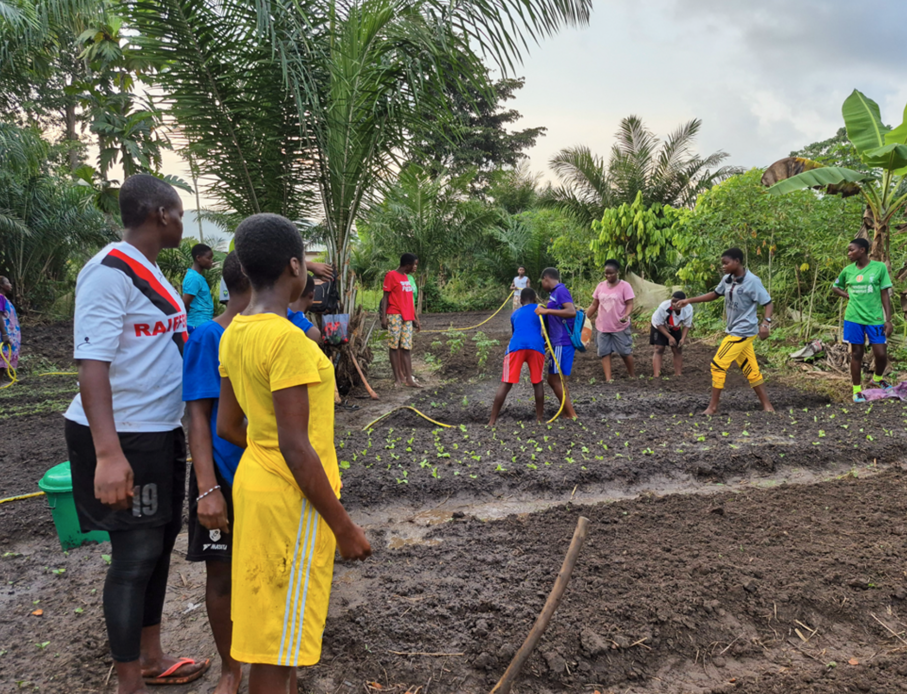 Landwirtschaft Projekt Togo
